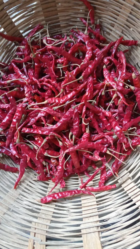 WhatsApp Image 2025-01-27 at 17.49.38.webp